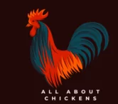 allaboutchickenshelp.com